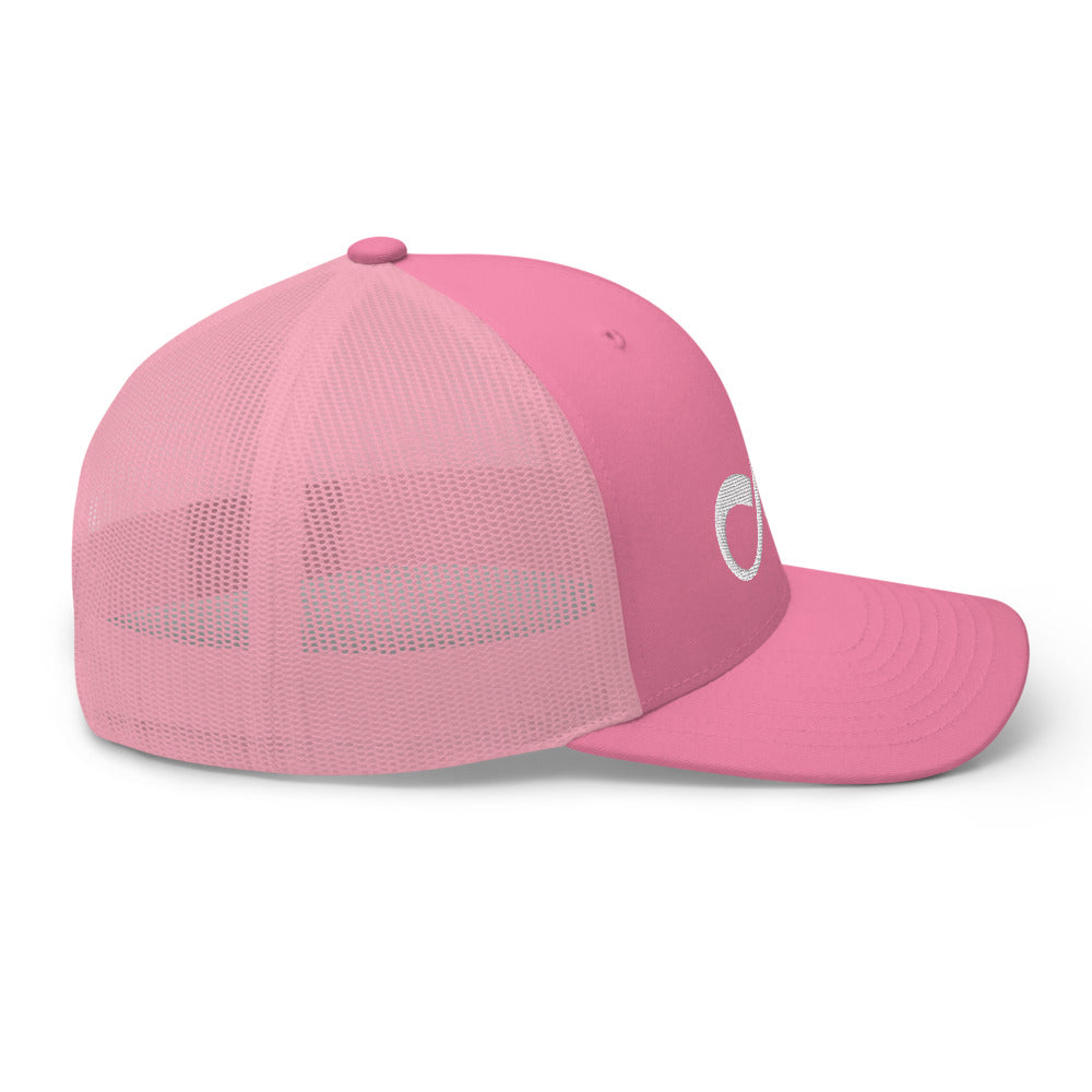 Surfinity Classic Wave Snapback - Yupoong 6606 - Pink/Pink